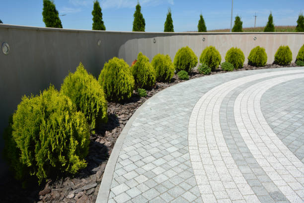 Best Decorative Driveway Pavers  in Spring Creek, NV